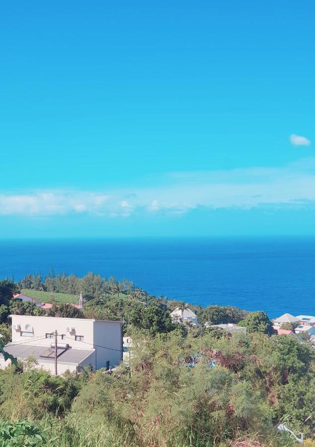 Lilie Location Manapany 4 Etoiles Villa Petite-Île Bagian luar foto